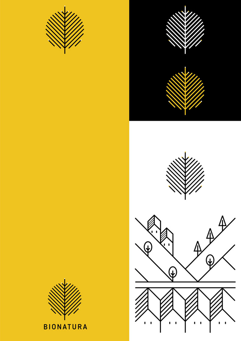 project-image