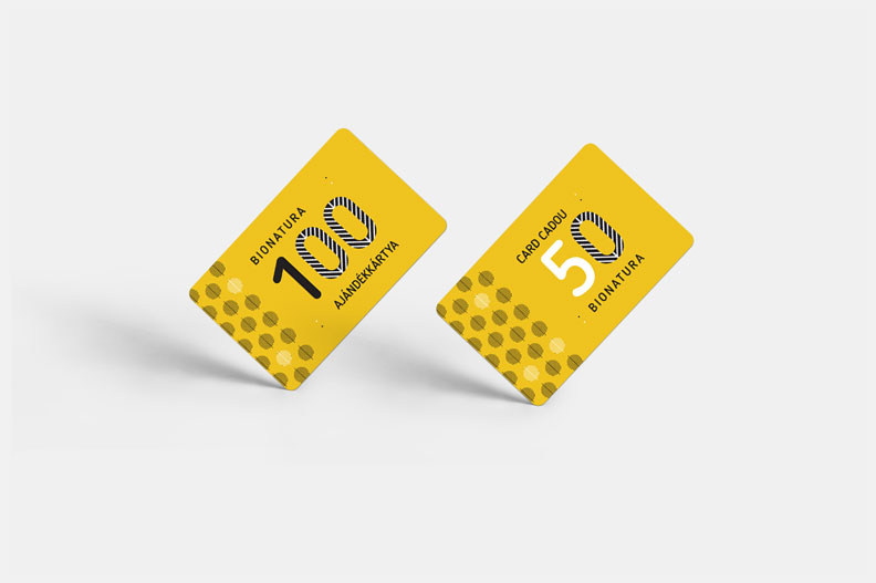 project-image