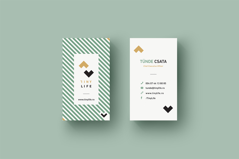 project-image