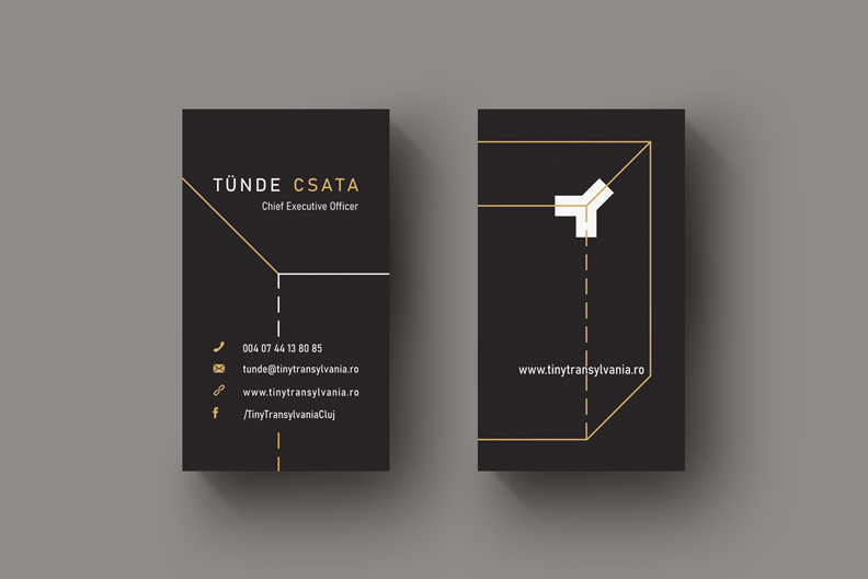 project-image
